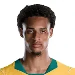 তেতে ইয়েংগি